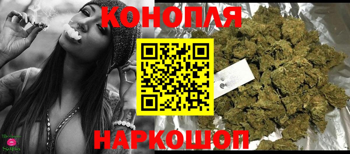 Канабис SATIVA & INDICA Углич